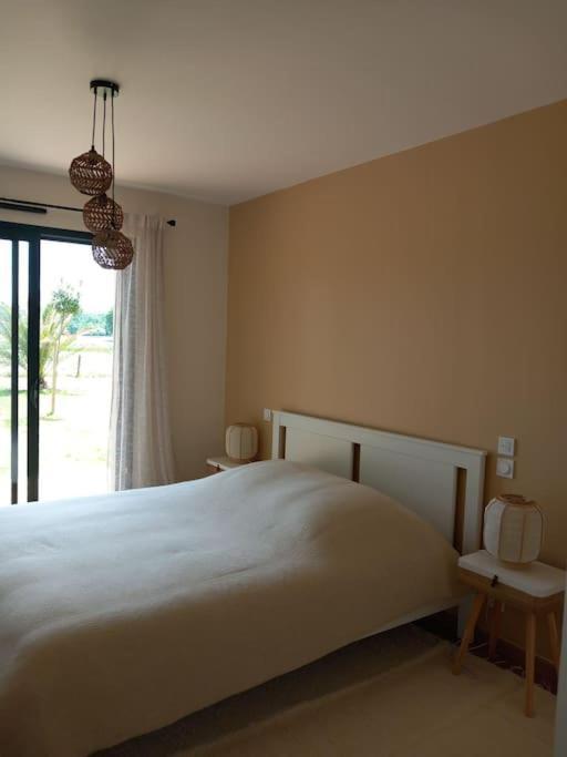 Maison Neuve Avec Piscine Chauffee, 4 Kms De Contis Plage 波讷地区圣朱利安 外观 照片